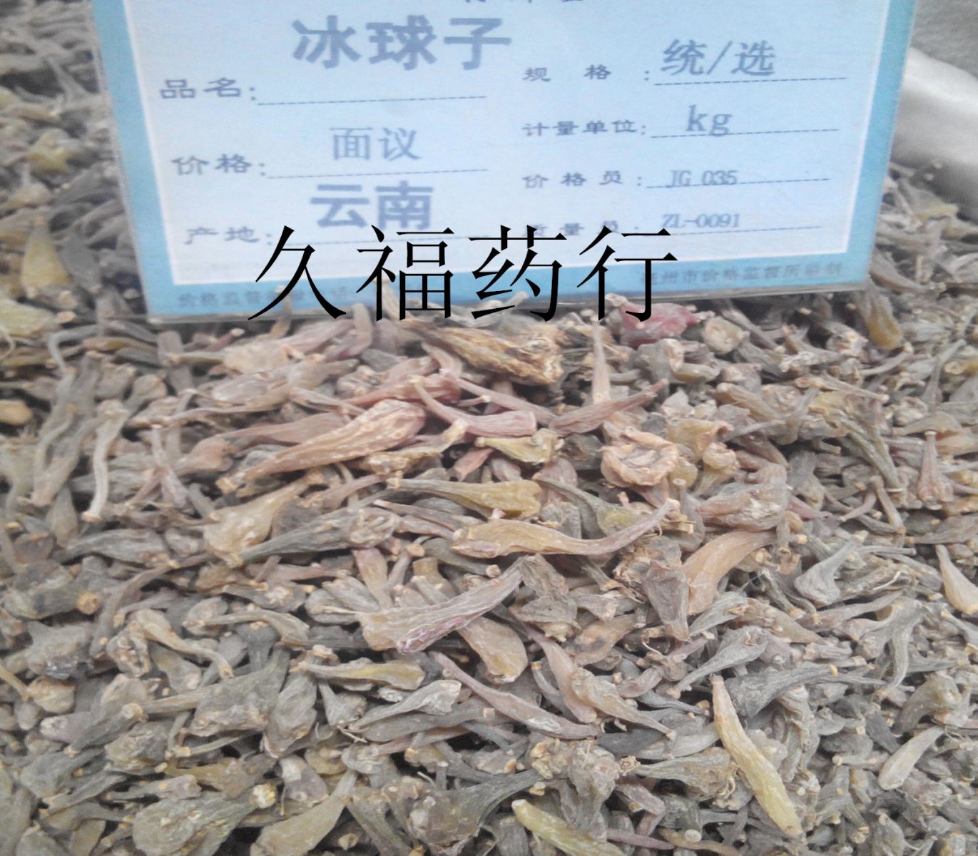 批发冰球子 优质大货 保证纯野生正品