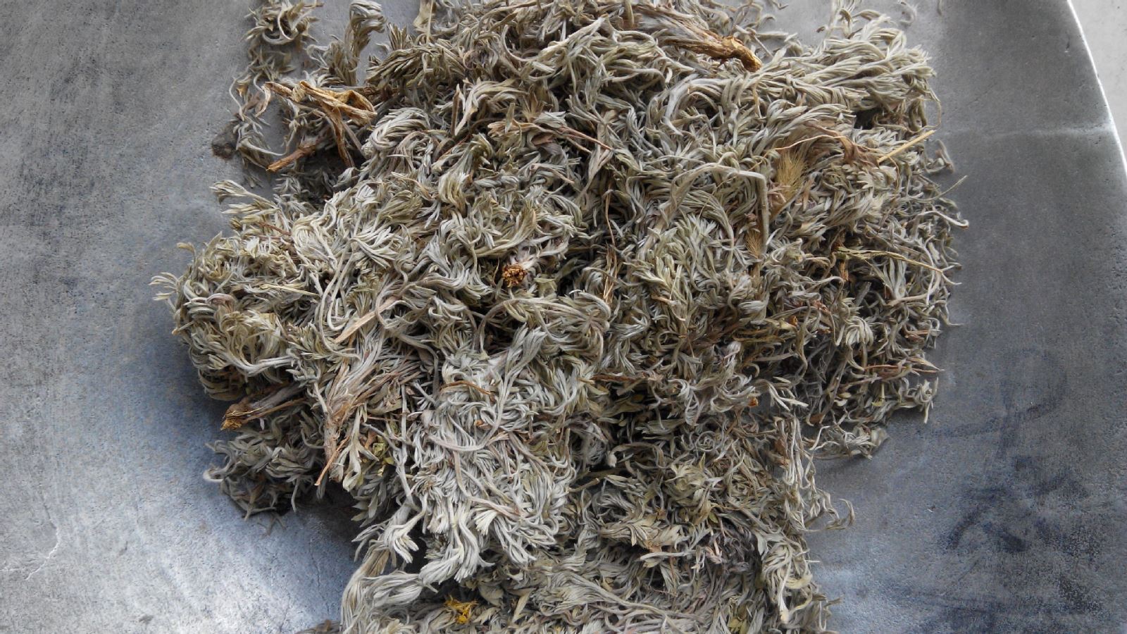 绵茵陈个 新店冲人气无利多销