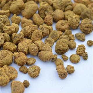 元胡 统货 大片 四川 产地 优价直供