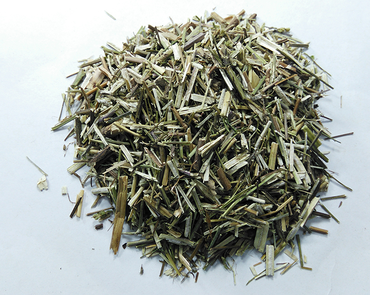 荆芥杆 荆芥 价格实惠 一千克起售 千源药材直供(荆芥
