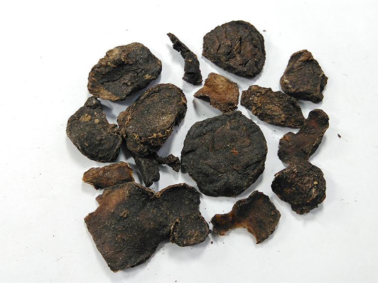 制天南星片 云南天南星片 价格实惠 一千克起售 千源药材直供(制
